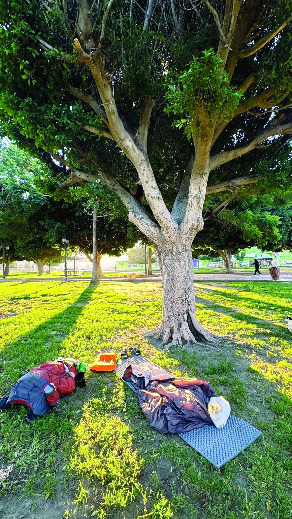 When a young Omani decides to hitchhike across continents