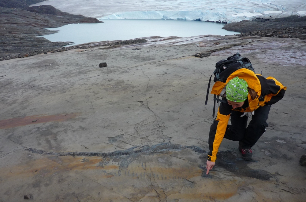 Fiona, a 131-million-year-old ichthyosaur fossil in the Chilean glacial field where she was discovered, with paleontologist Judith Pardo-P