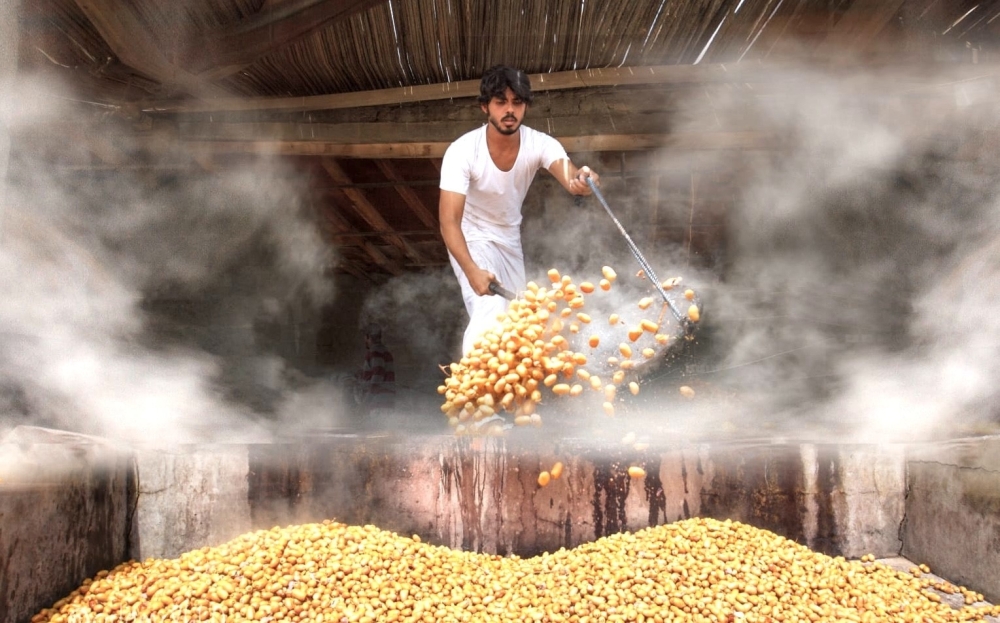 Tabseel is not simply about harvesting — it’s a celebration.