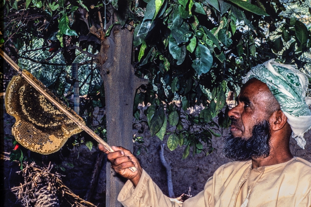 Nasr Al Ghaythi Zahib MG_10092