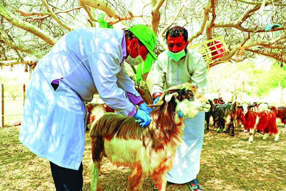 The vaccination operations focused on diseases that pose a major threat to livestock.