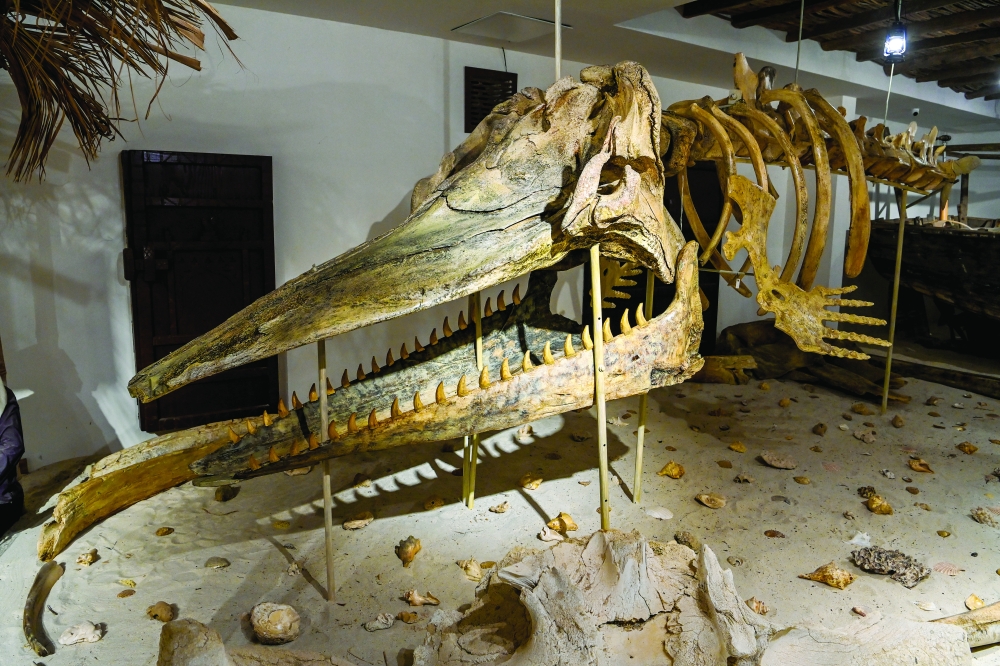 Dhofar Museum opens; to promote heritage and cultural tourism