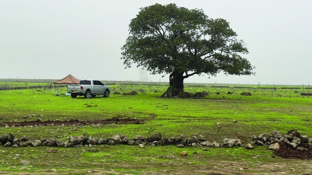 Flagrant breaching of Oman’s environmental protection laws by driving over green spaces that only flourish during khareef