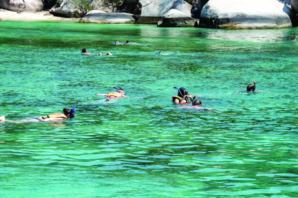 Greece to create new marine reserves to protect underwater wildlife