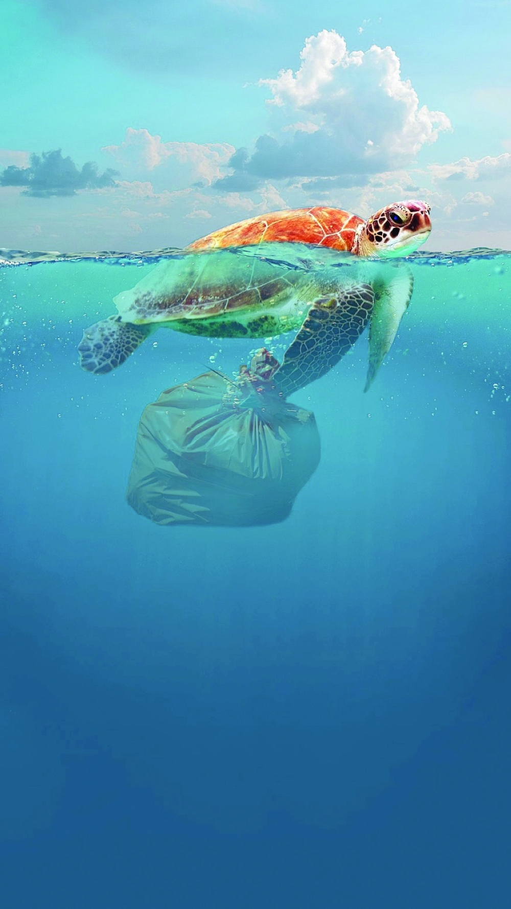 Beyond the Bottle: Rethinking Water Without Plastic