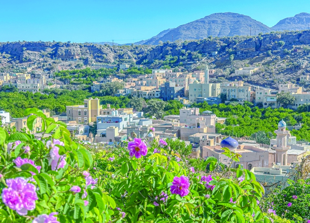 Over 89,000 visit Al Jabal Al Akhdhar in 1st half of 2025