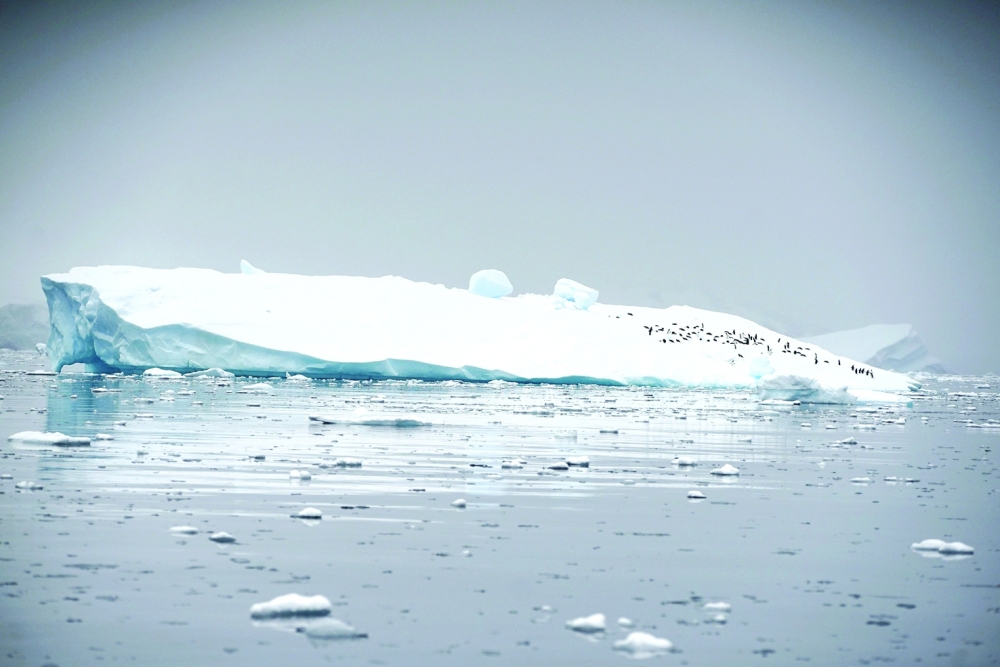 
A huge iceberg breaking off was ‘imminent within the next weeks to months’. 