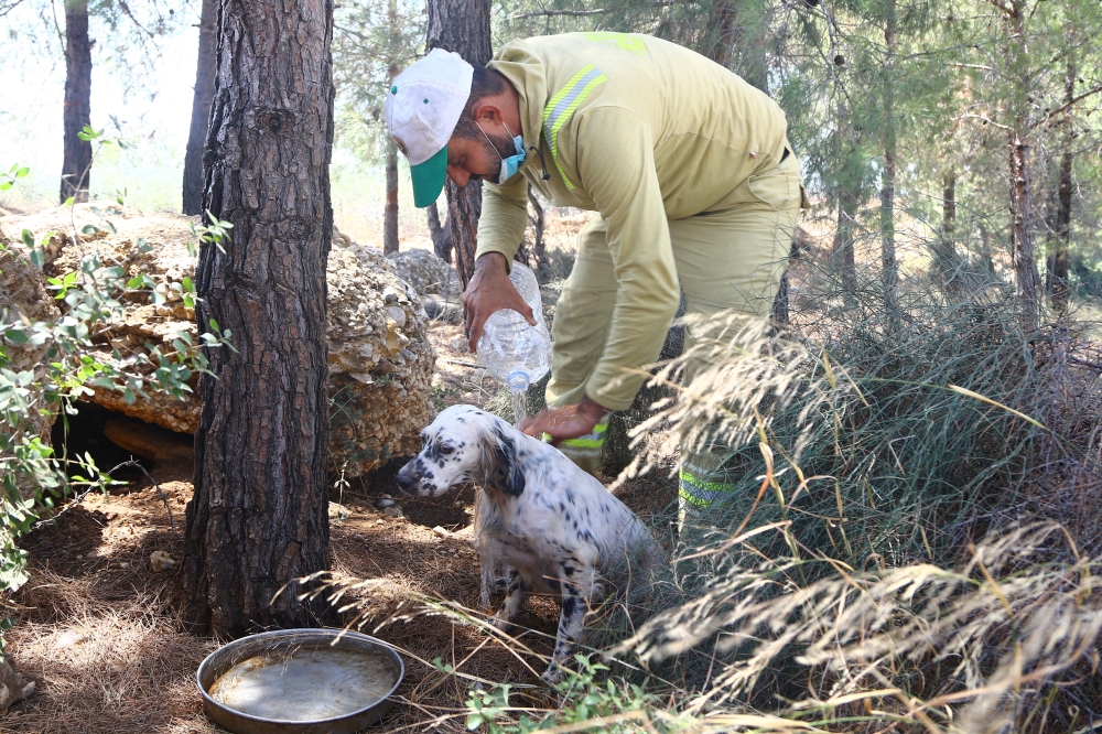 A forest worker in the Aksu district of Antalya, a Mediterranean city in southern Turkey, July 25, 2025. REUTERS/Kaan Soyturk