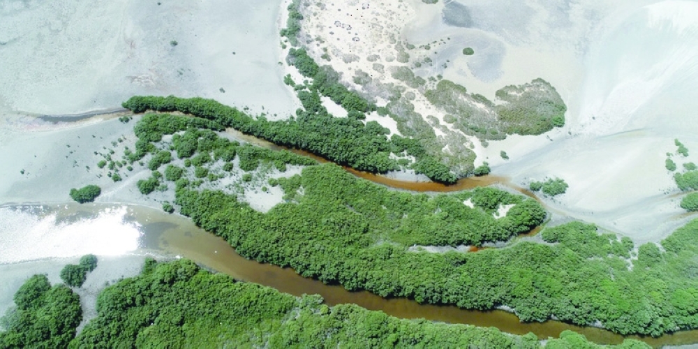 
The site lies within Al Wusta Wetlands Reserve and covers about 80 per cent of the reserve’s area. 