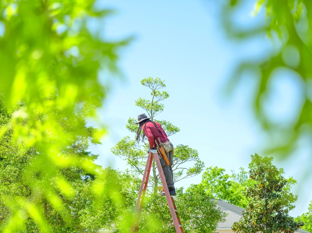 Topiary artist Michael Gibson at work in Edisto Discovery Park, where he is in the first phase of building out a therapeutic sensory garden, in Columbia, S.C., April 14, 2025. (Elizabeth Bick/The New York Times)