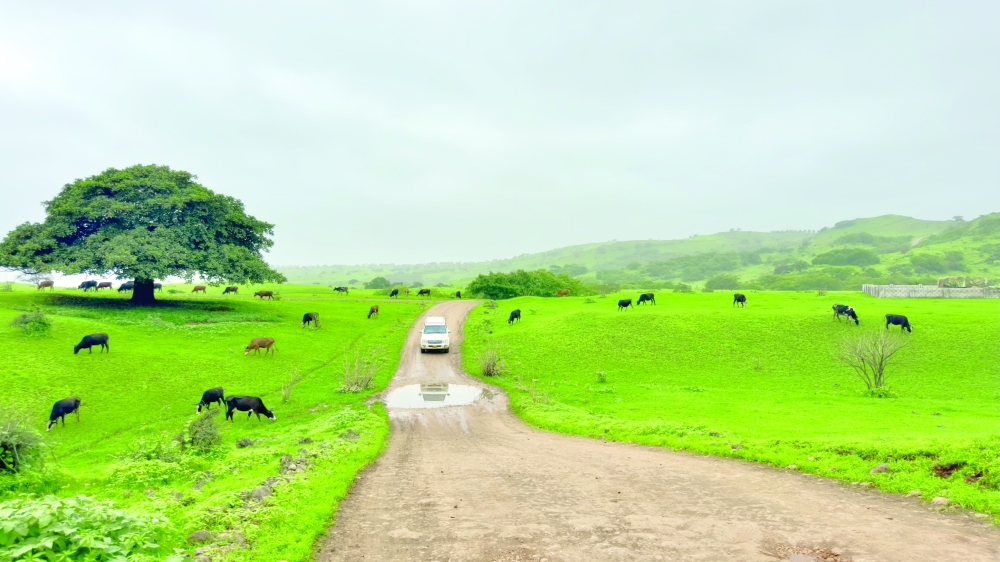 Shiheyt is surrounded by dramatic terrain — misty ridges, flowing wadis and cliffs that turn green with the rains of khareef.