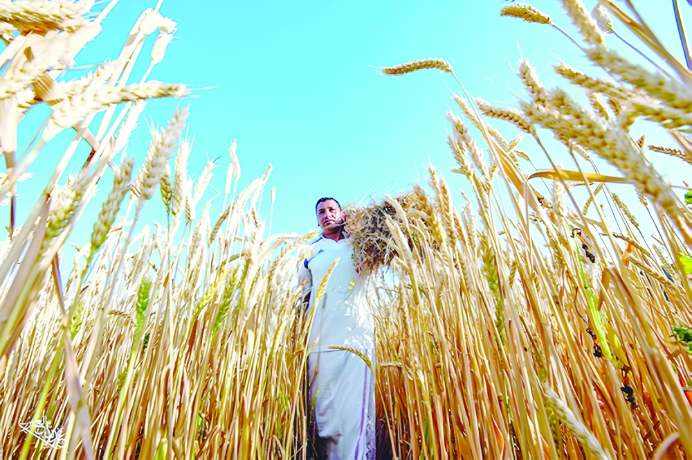 
The Middle East and North Africa (MENA) region, including Oman, accounted for 58% of Agribrasil’s exports. Image for illustration only. 