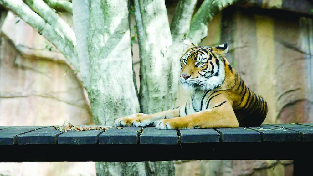 
Only healthy animals are accepted by the zoo, which has been accepting donated animals for several years. 