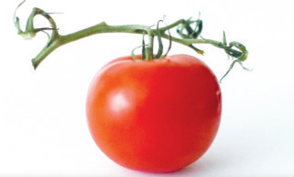 How to pick a good tomato