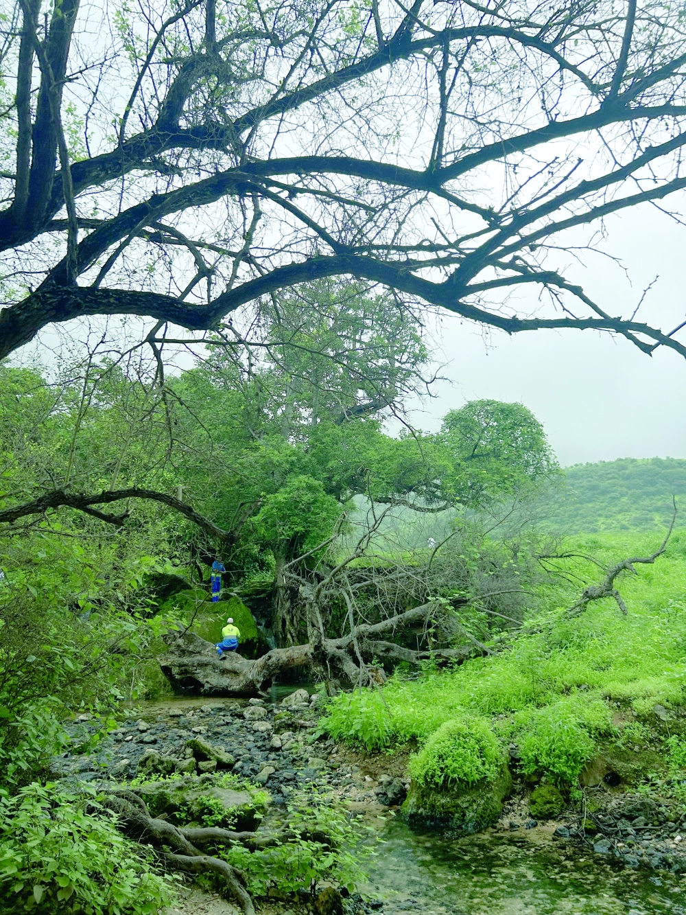 How Young Omanis Are Reclaiming Summer’s True Spirit