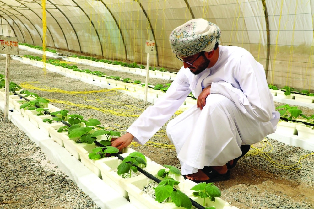 Oman is also training a new generation of agripreneurs and technicians
