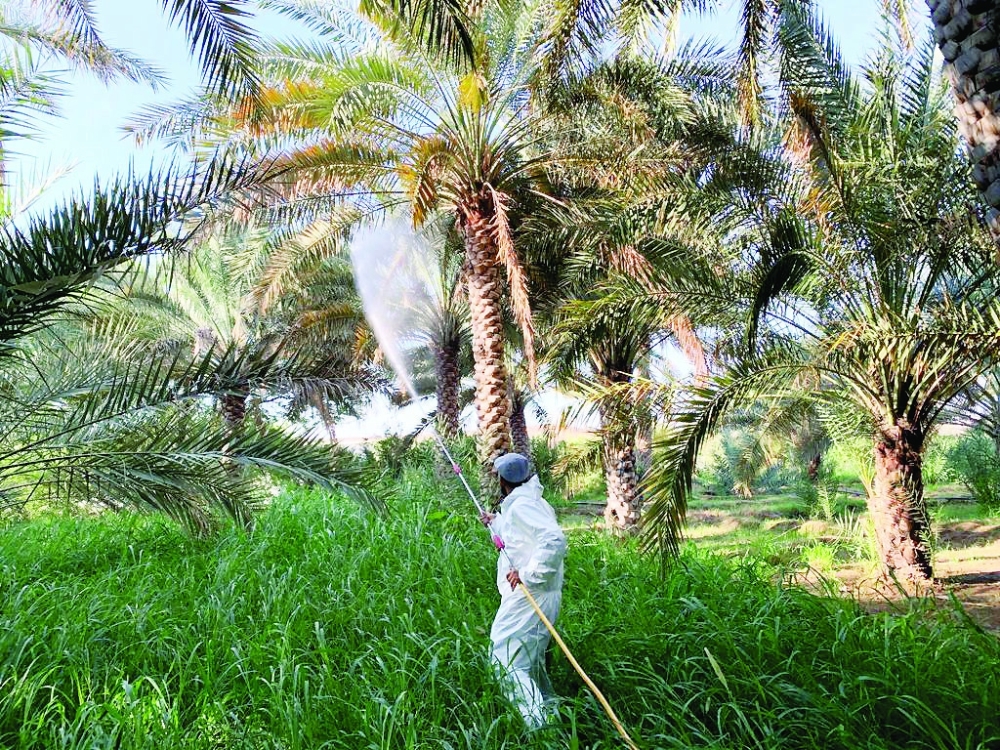 SMART AGRICULTURE FOR SUSTAINABLE GROWTH