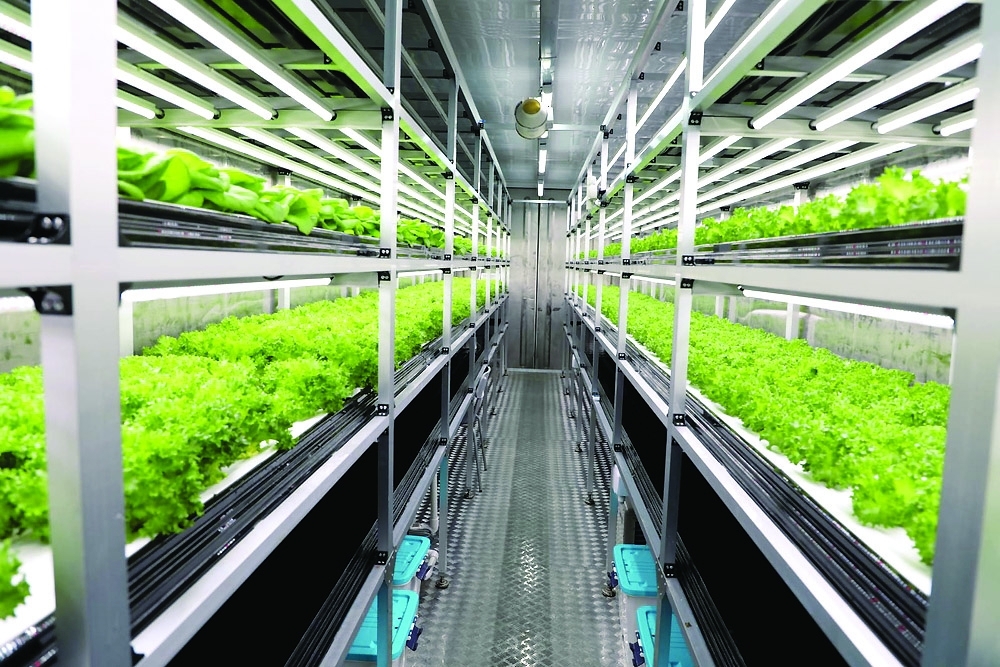 SMART AGRICULTURE FOR SUSTAINABLE GROWTH