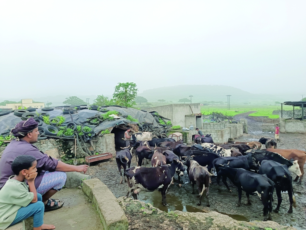 The ‘Makhraf’, a temporary camel shelter, where guests are welcomed with fresh milk and warm hospitality