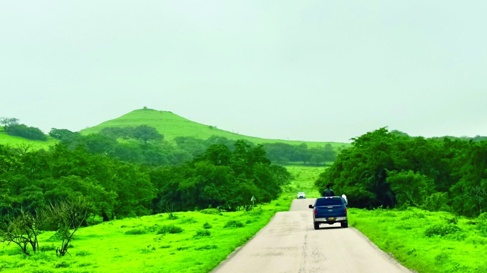 Many travellers are combining nature excursions with cultural discovery