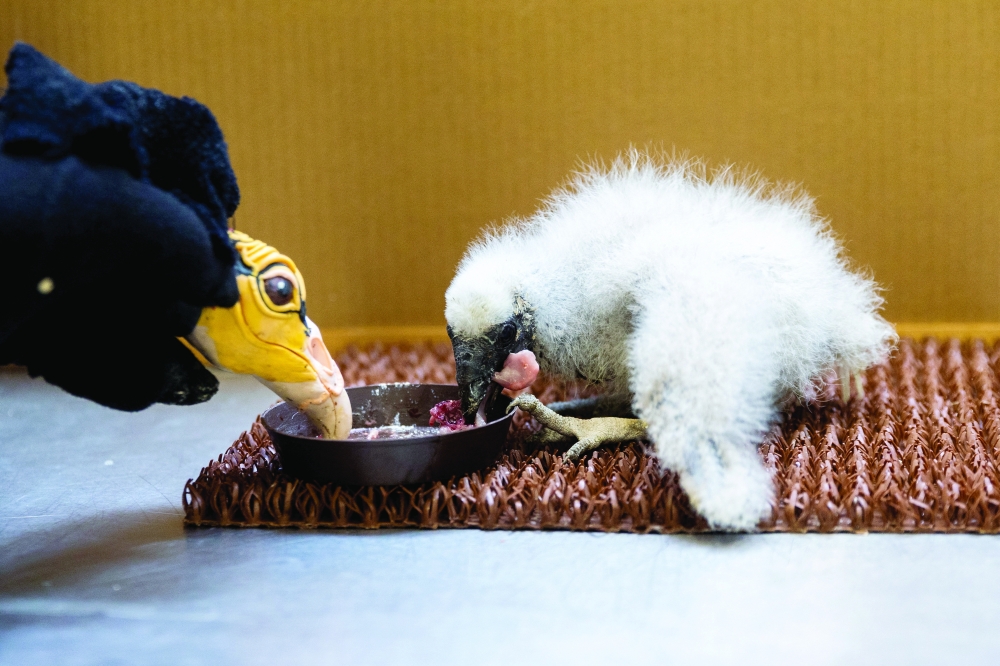 /FW1HFS/Helen Popper