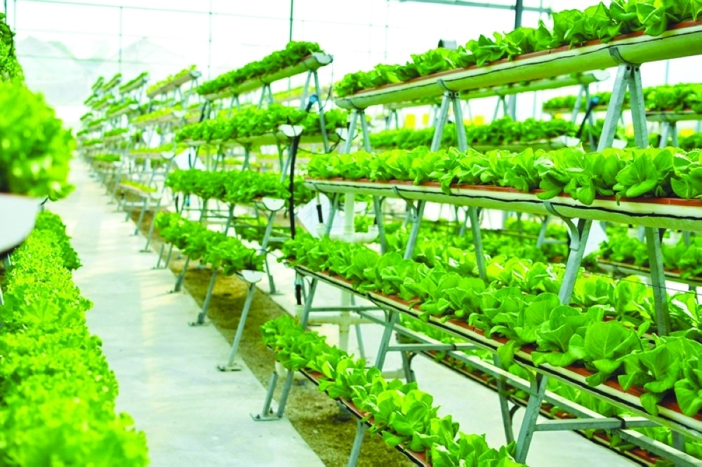 Urban farming innovations are being integrated to encourage wider adoption.