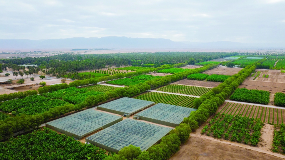 The farm expects growing interest from domestic and international visitors in this style of agri-tourism.