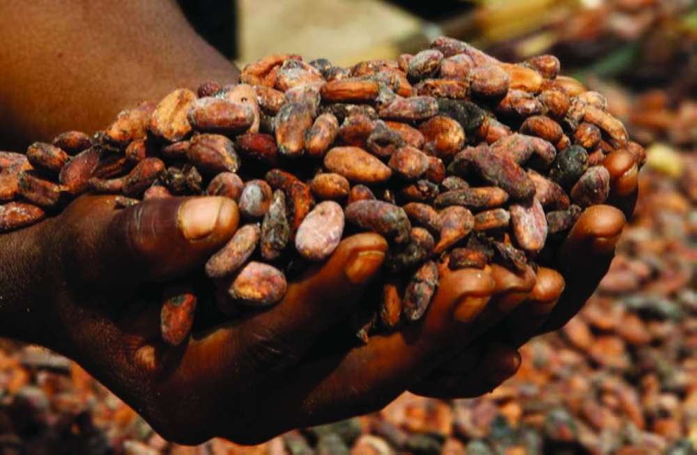 The total grind from the start of the 2024/25 season in October until the end of July stood at 515,055 tons of beans, down 4% from the same period last season— Reuters