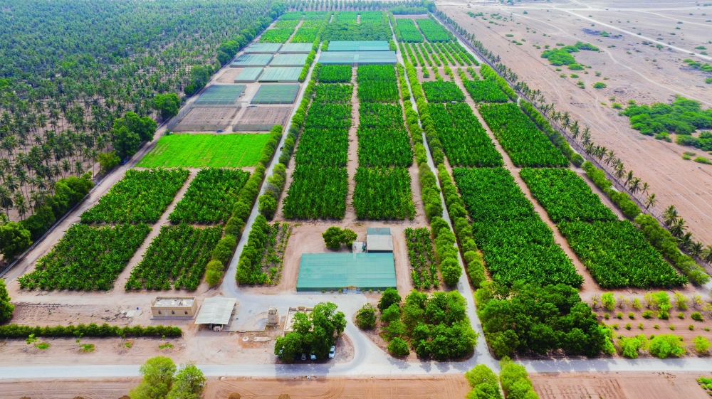 Supporting agritourism: Tourist trail inaugurated at Razat Royal Farm in Salalah
