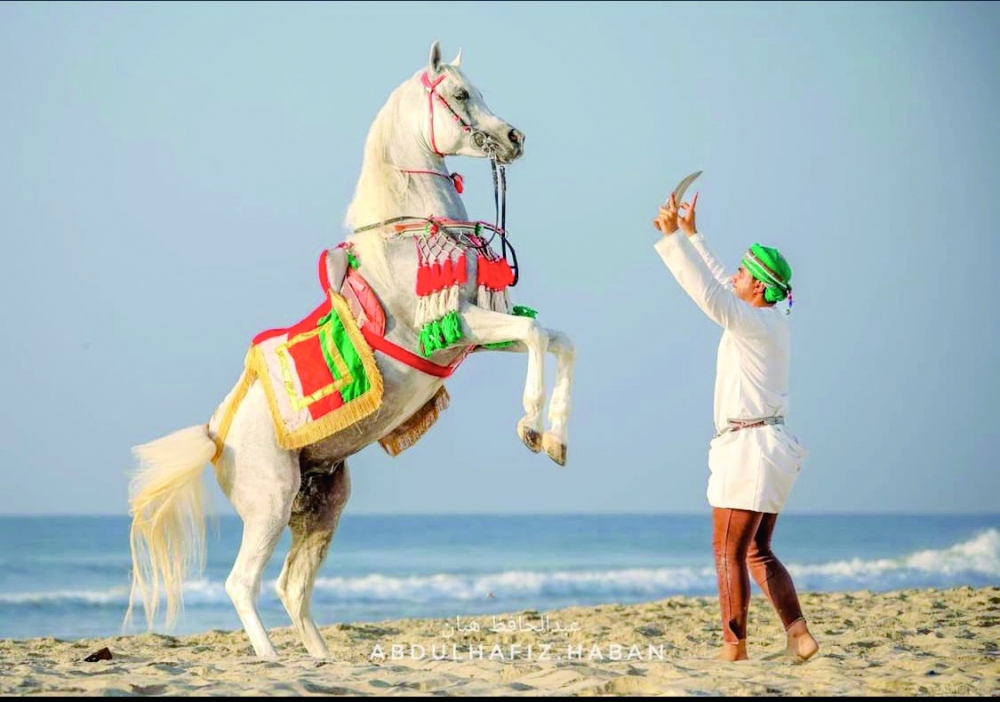 Omani trainer Tariq al Hashmi emphasised that the championship represents an important opportunity to showcase the quality of Omani Arabian horses.