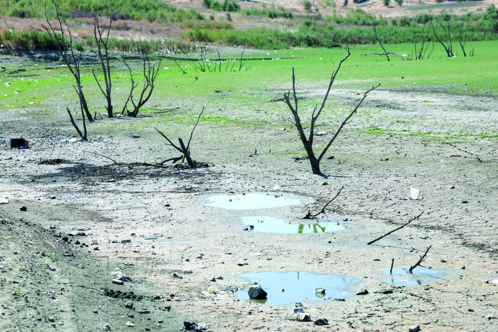 Drought depletes Türkiye's Tekirdag reservoirs