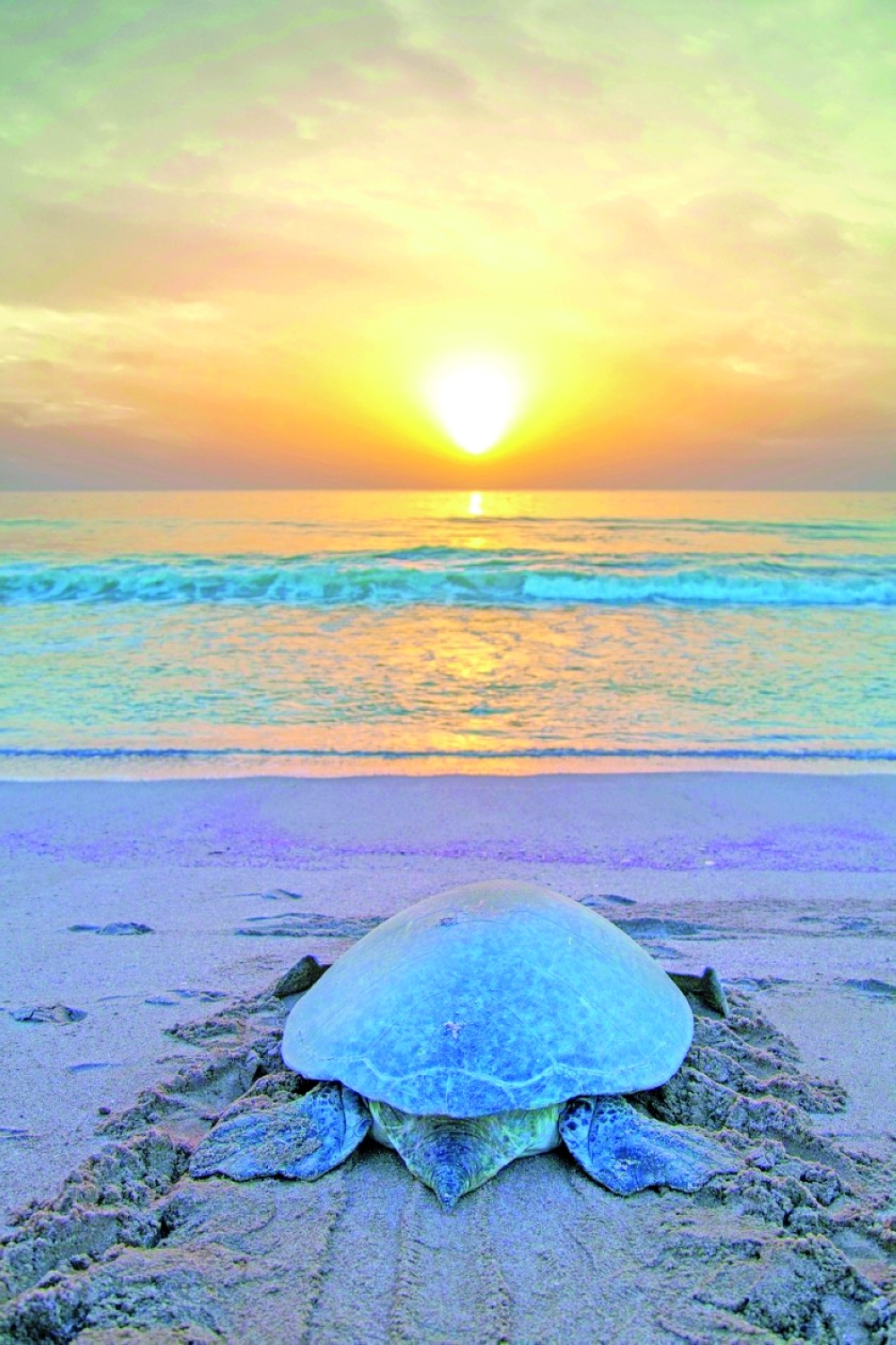 
The strategy identifies several key objectives, including protecting the marine environment and enhancing maritime safety. 