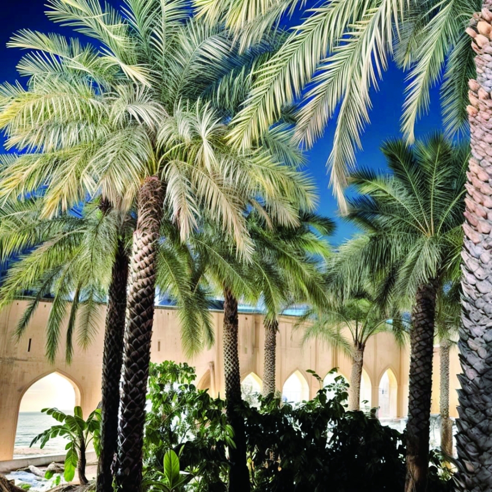 How Traditional Oman’s Urban Design Offers Lessons for Modern Cities