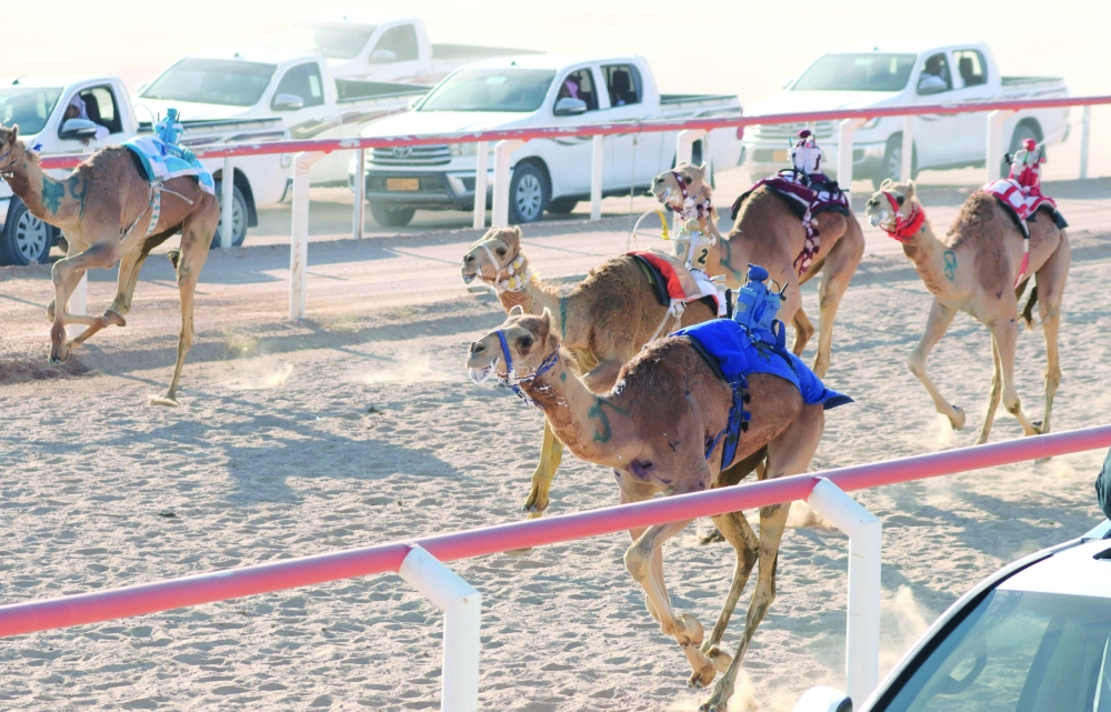 A traditional festival in the wilayat of Thamrait will be held from October 17 to 23.
