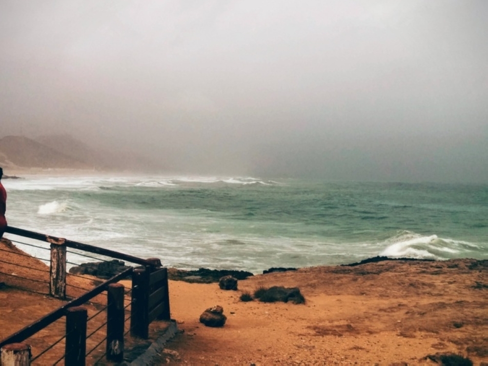 87148bbc-2788-467c-85bc-3d2c0d39e762_sm