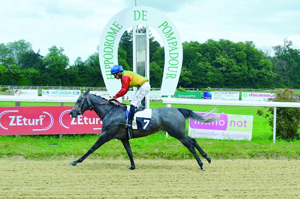 Ridden by jockey Michael Forest and trained by Elisabeth Bernard, Al Safnat showcased remarkable competitiveness throughout the race.