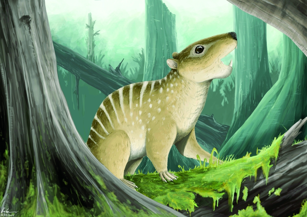 Fossil Shows a Sharp-Toothed Mammal That Thrived Among Dinosaurs