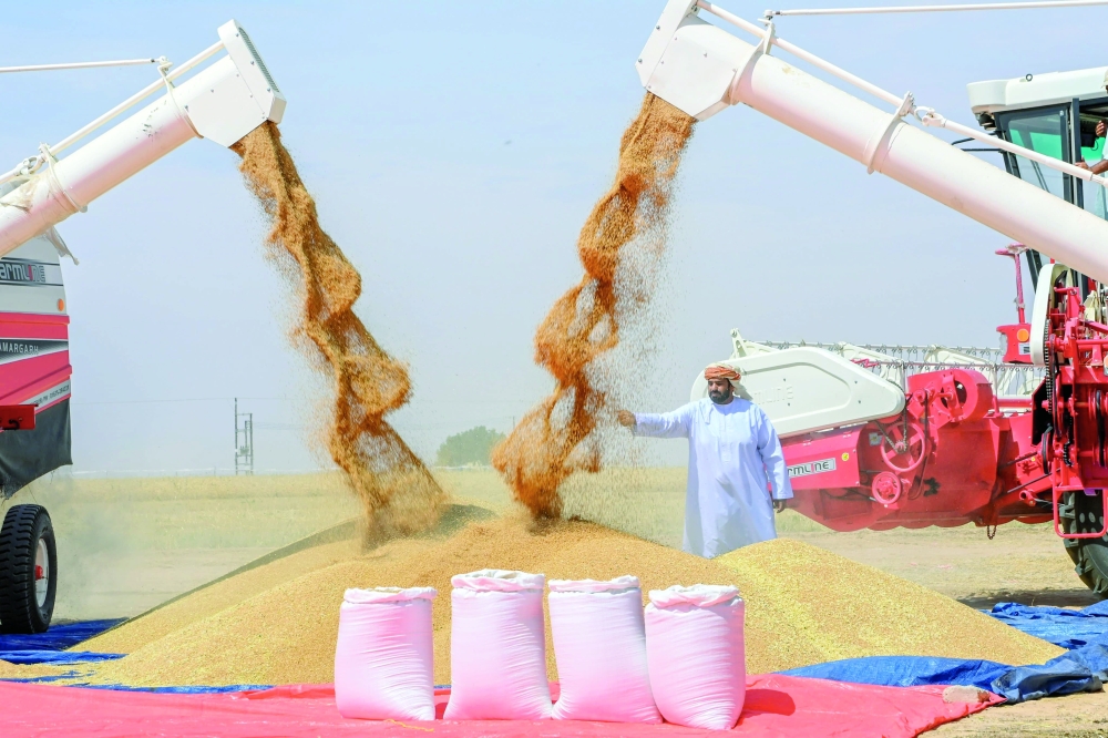 Investing in agritech and aquaculture not only enhances food security, but also opens avenues for export, contributing significantly to GDP growth