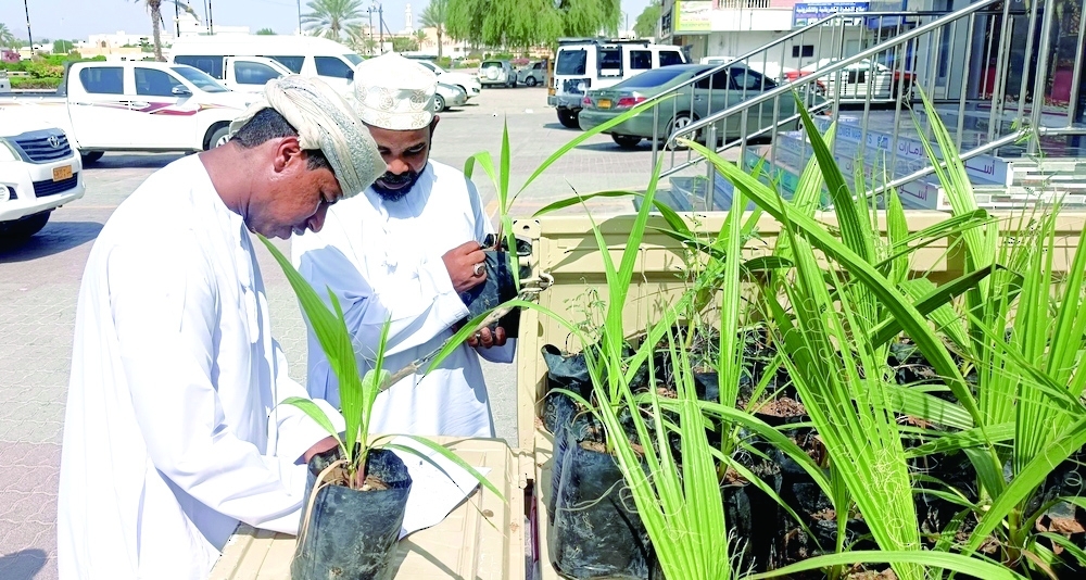 Environmental initiative in Al Sharqiyah North Governorate supports 10 million tree campaign