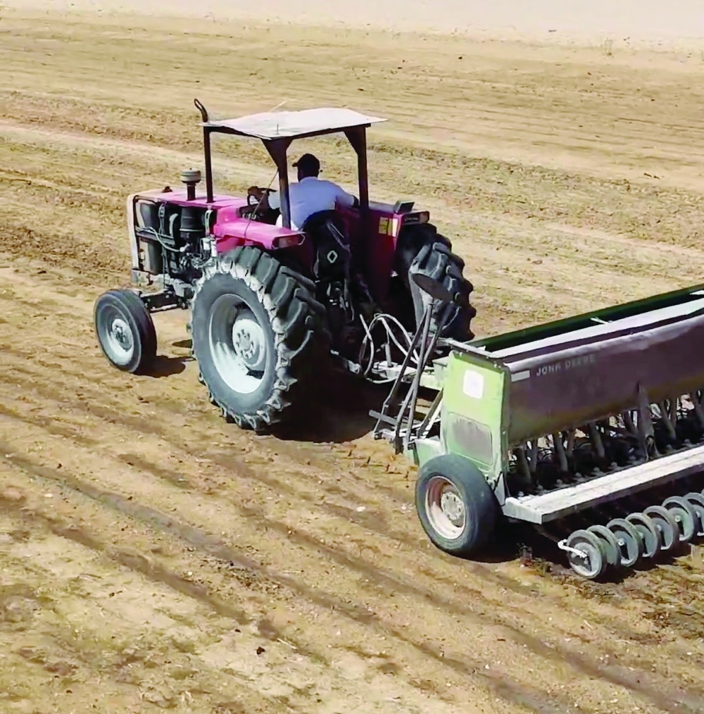 In its initial phase, the project spans 600 feddans (about 252 hectares) across 35 farms, with expected output of 300 tonnes.