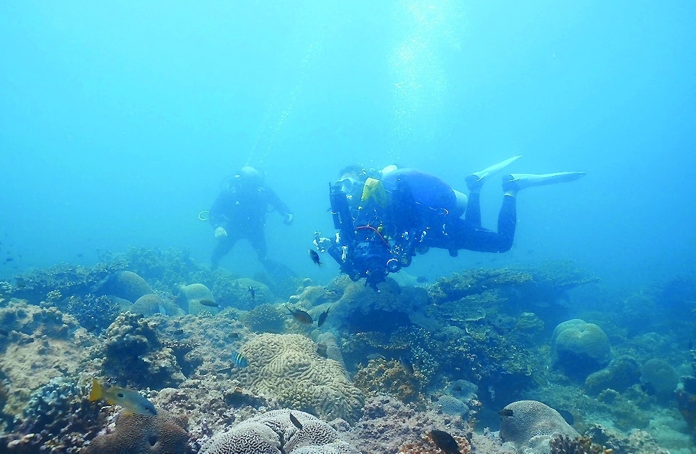 The dive centre solidifies the governorate’s position on the international tourism map