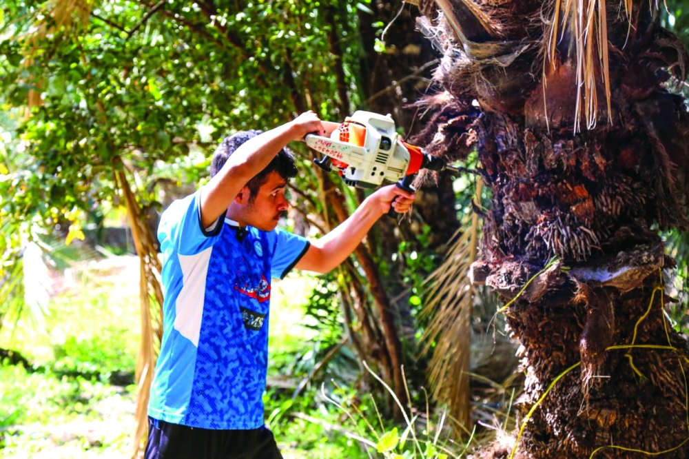 Control teams handled 601 new red palm weevil infestations between April and June