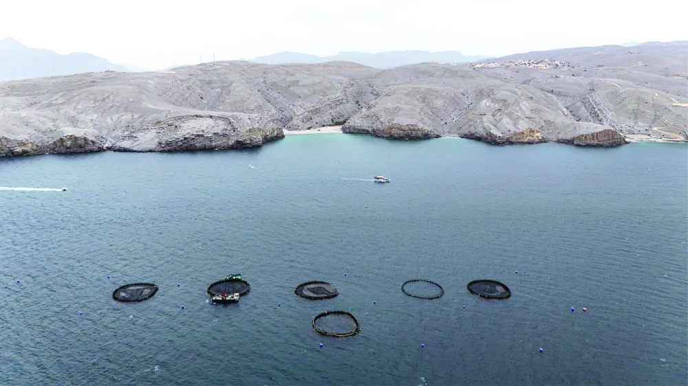 Over the past year, Oman’s farms produced about 5,500 tonnes of seafood, worth more than RO 12.5 million