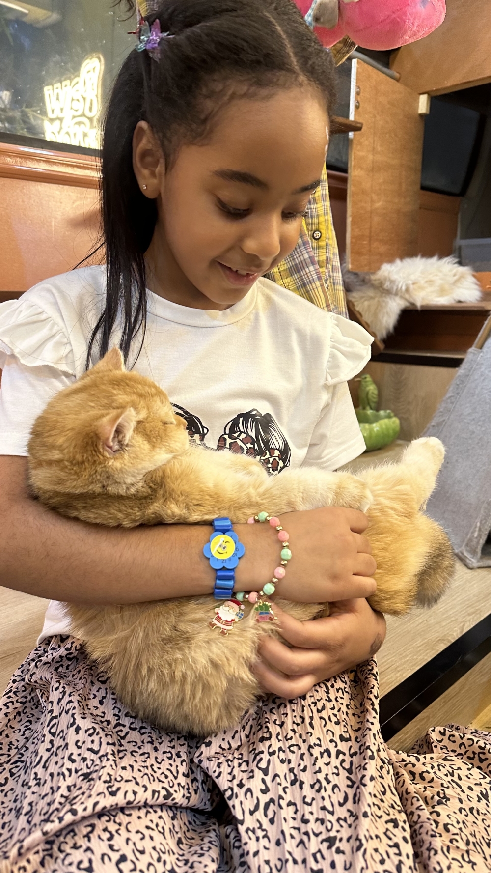 A mobile platform raising awareness about responsible pet care and animal welfare