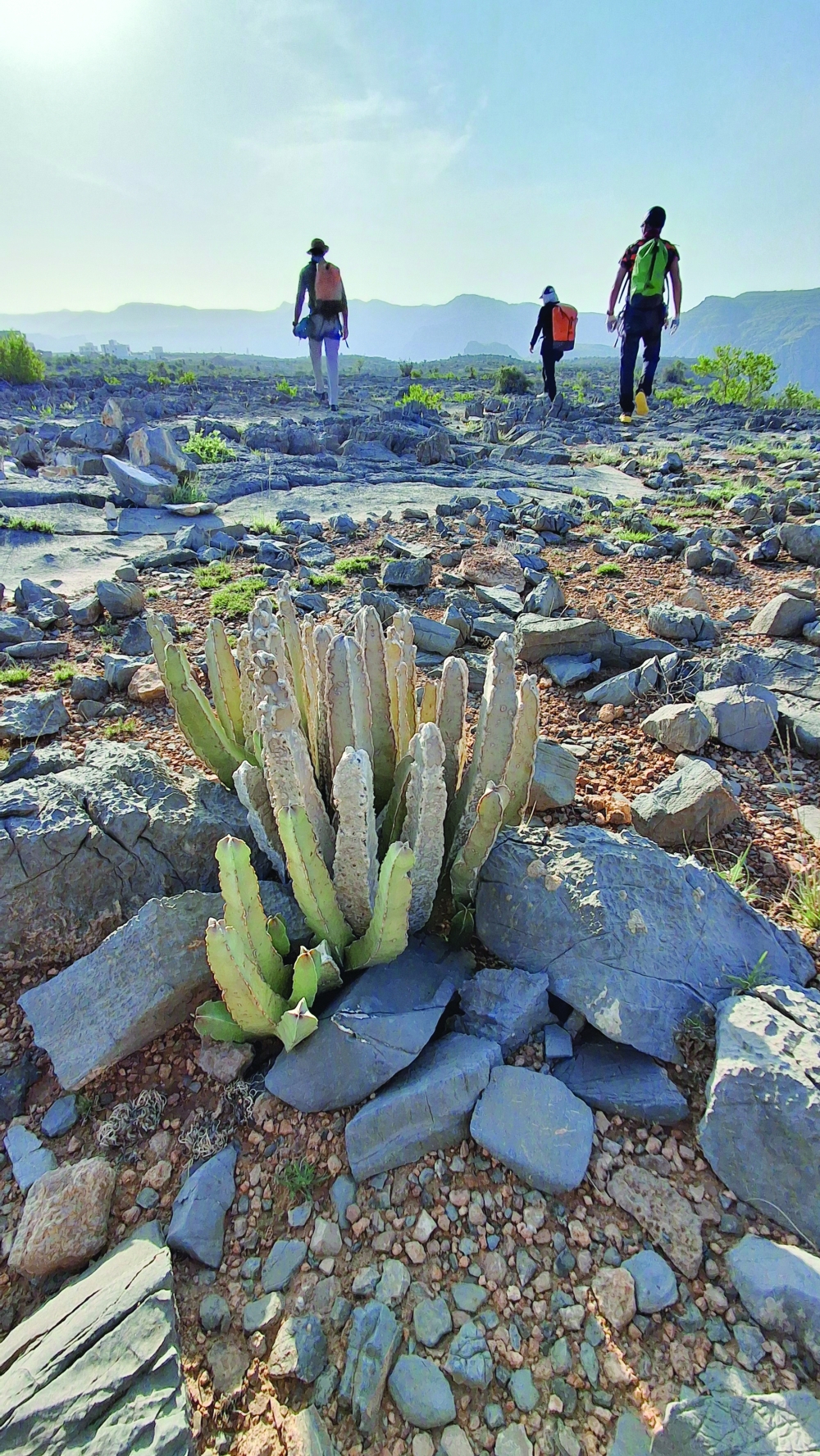 The thrill of creating a new canyon route in Wadi al Bawarid
