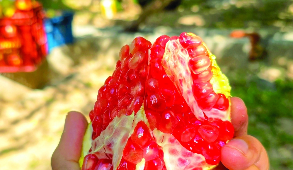 It’s pomegranate harvest season, here’s a chef’s recommendation on what to do