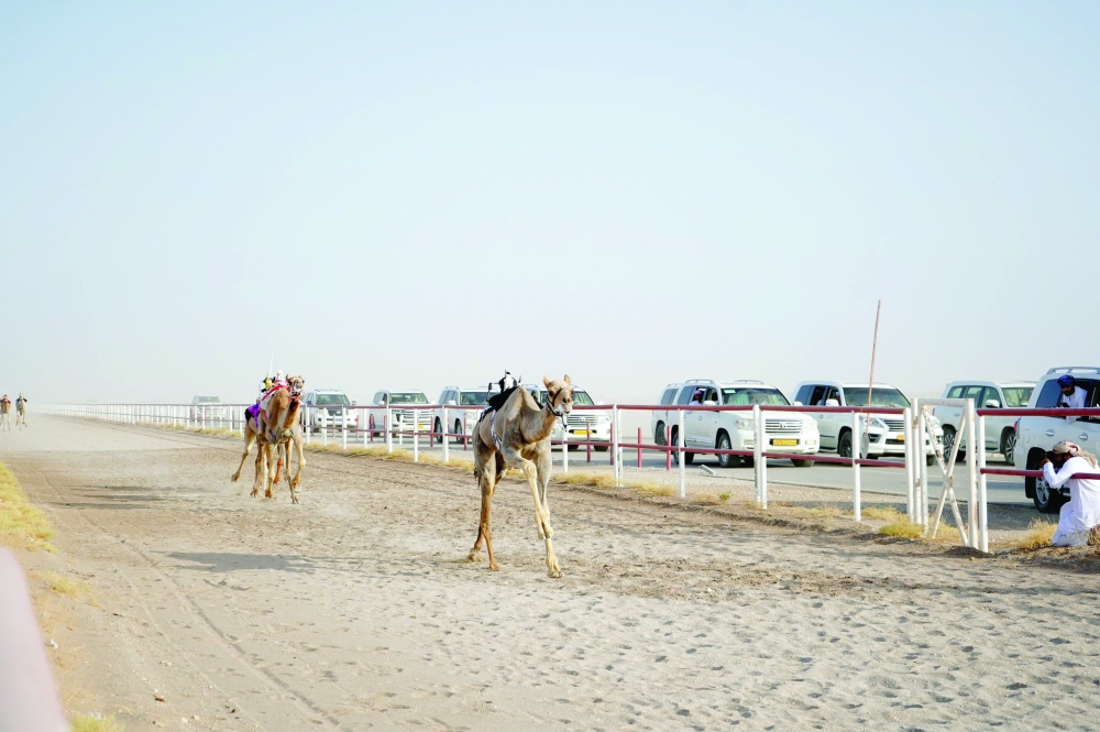 Race from the previous season.