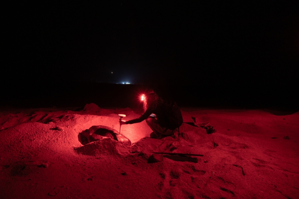 Photo: Tara Atkinson