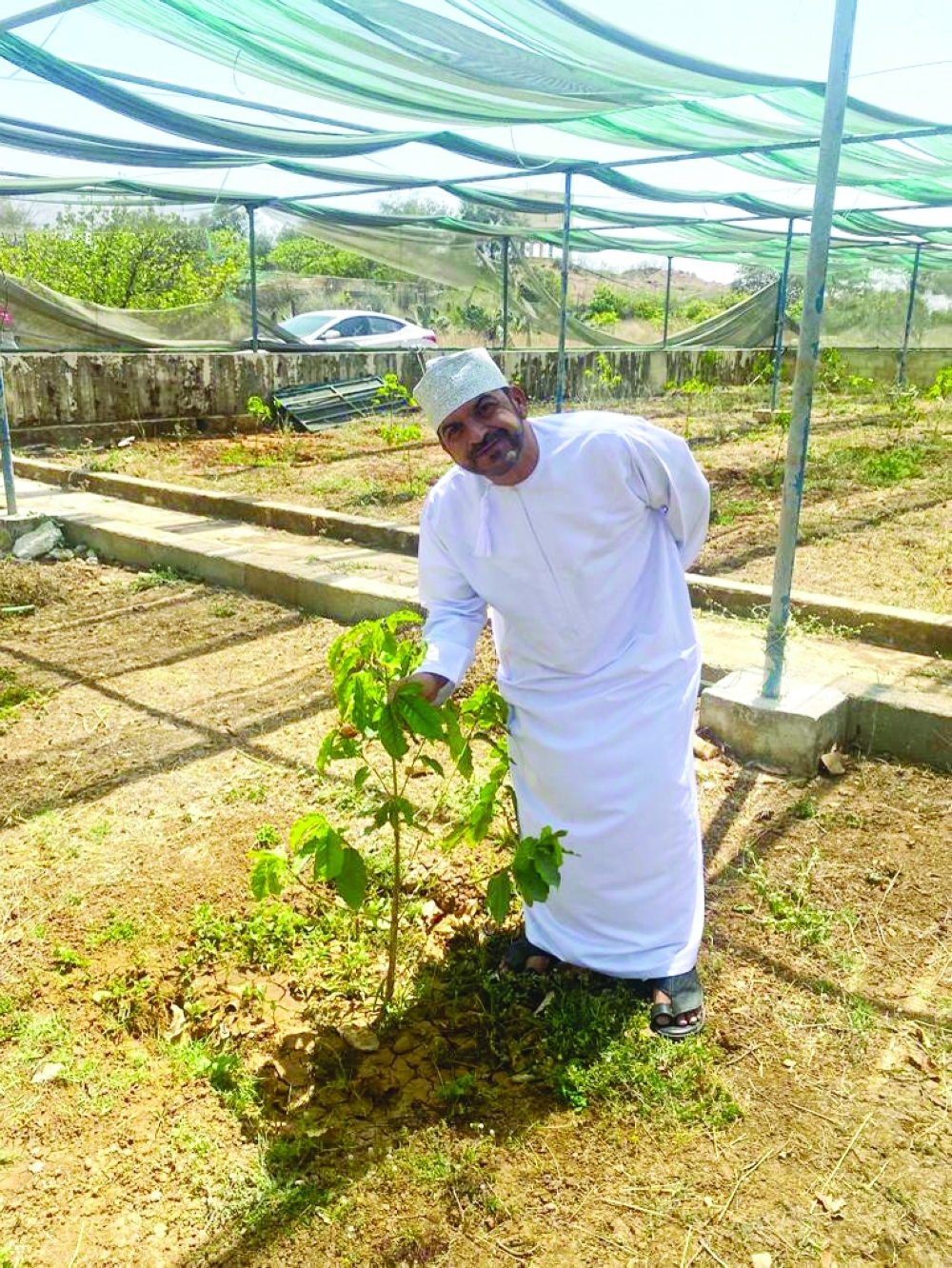 Afshin Mohammadi, the coffee pioneer