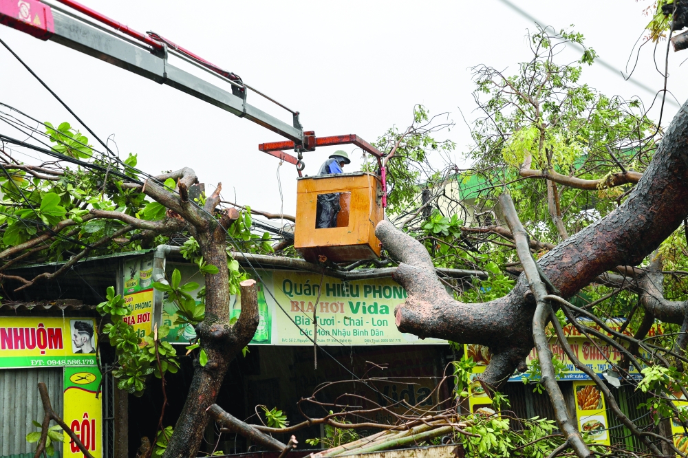 A worker removes a fallen tree in Nghe An province, Vietnam. — AFP